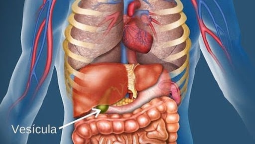 ultrassom abdominal1